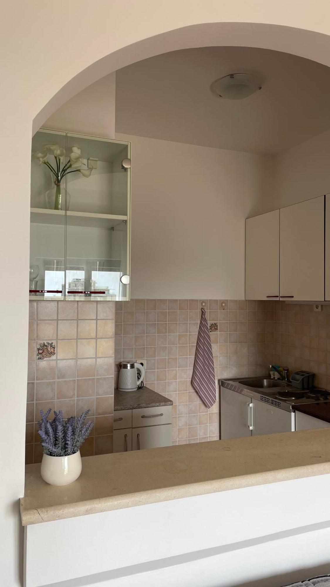 Apartment Tatjana Petrovac エクステリア 写真